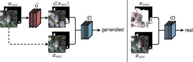 Figure 3 for Behind the leaves -- Estimation of occluded grapevine berries with conditional generative adversarial networks