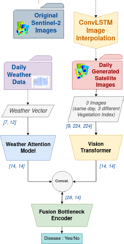 Figure 1 for Fusion of Satellite Images and Weather Data with Transformer Networks for Downy Mildew Disease Detection