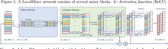 Figure 3 for Scaling Forward Gradient With Local Losses