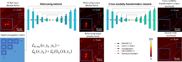 Figure 1 for Deep learning-based virtual refocusing of images using an engineered point-spread function