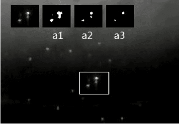 Figure 4 for Multi-appearance Segmentation and Extended 0-1 Program for Dense Small Object Tracking