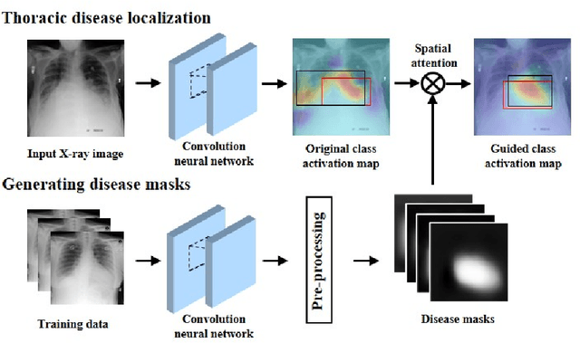 Figure 1 for Weakly Supervised Thoracic Disease Localization via Disease Masks