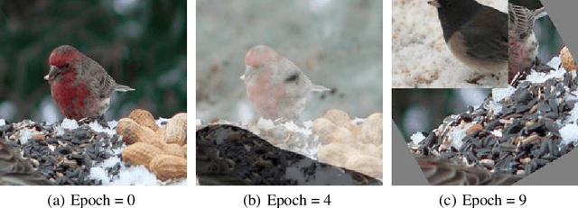 Figure 1 for Are Transformers More Robust Than CNNs?