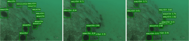 Figure 1 for Underwater object detection using Invert Multi-Class Adaboost with deep learning