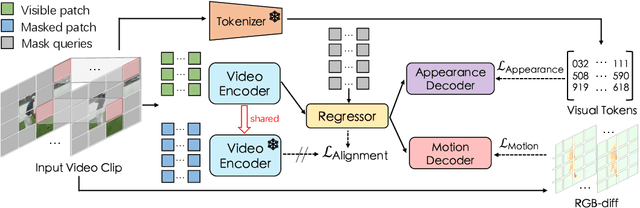 Figure 1 for It Takes Two: Masked Appearance-Motion Modeling for Self-supervised Video Transformer Pre-training
