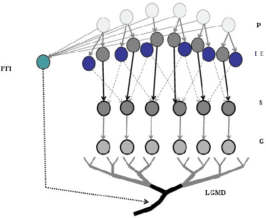 Figure 4 for A Bio-inspired Collision Detecotr for Small Quadcopter