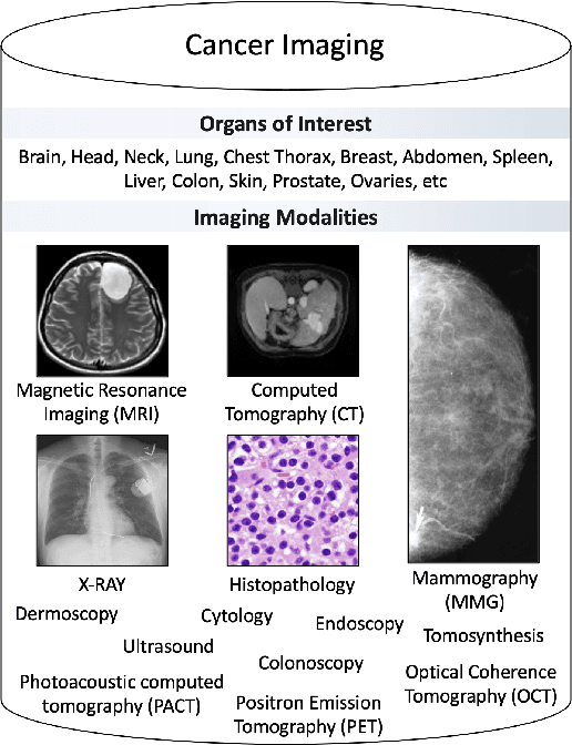 Figure 1 for A Review of Generative Adversarial Networks in Cancer Imaging: New Applications, New Solutions