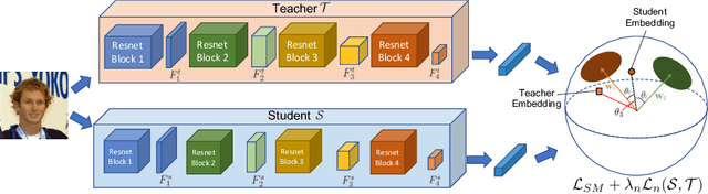 Figure 3 for ShrinkTeaNet: Million-scale Lightweight Face Recognition via Shrinking Teacher-Student Networks