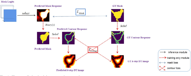 Figure 1 for Contour Loss for Instance Segmentation via k-step Distance Transformation Image