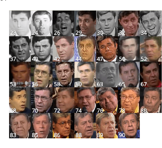 Figure 3 for Investigating Bias in Deep Face Analysis: The KANFace Dataset and Empirical Study