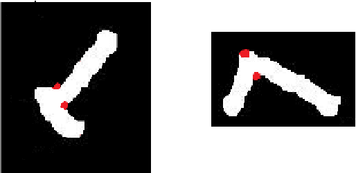 Figure 4 for A Geometric Approach For Fully Automatic Chromosome Segmentation