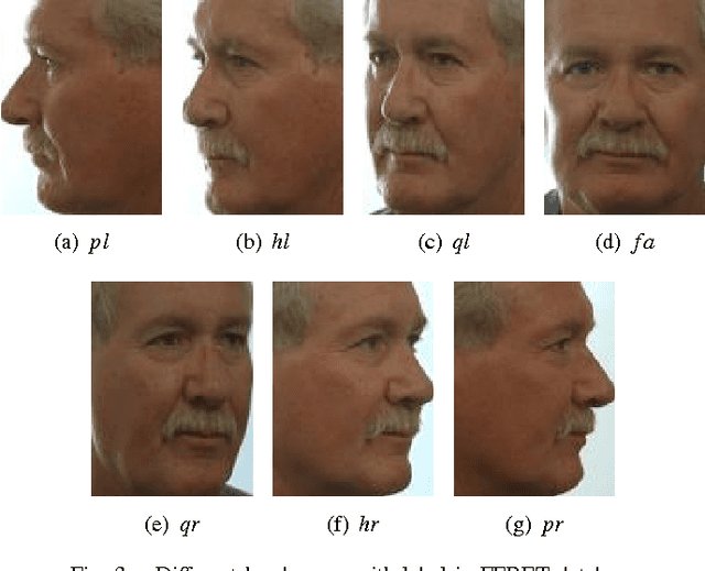 Figure 3 for Robust Head Pose Estimation Using Contourlet Transform