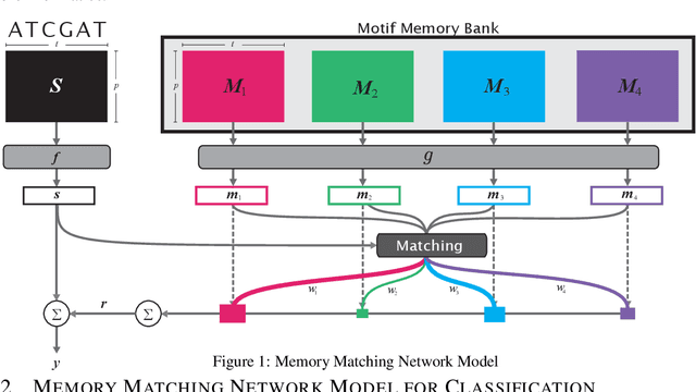 Figure 1 for Memory Matching Networks for Genomic Sequence Classification