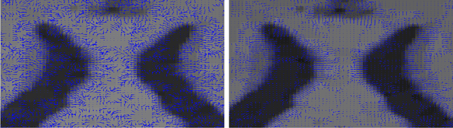 Figure 4 for Enhanced Compressed Sensing Recovery with Level Set Normals