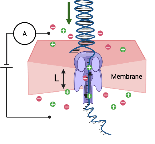 Figure 1 for DNA data storage, sequencing data-carrying DNA
