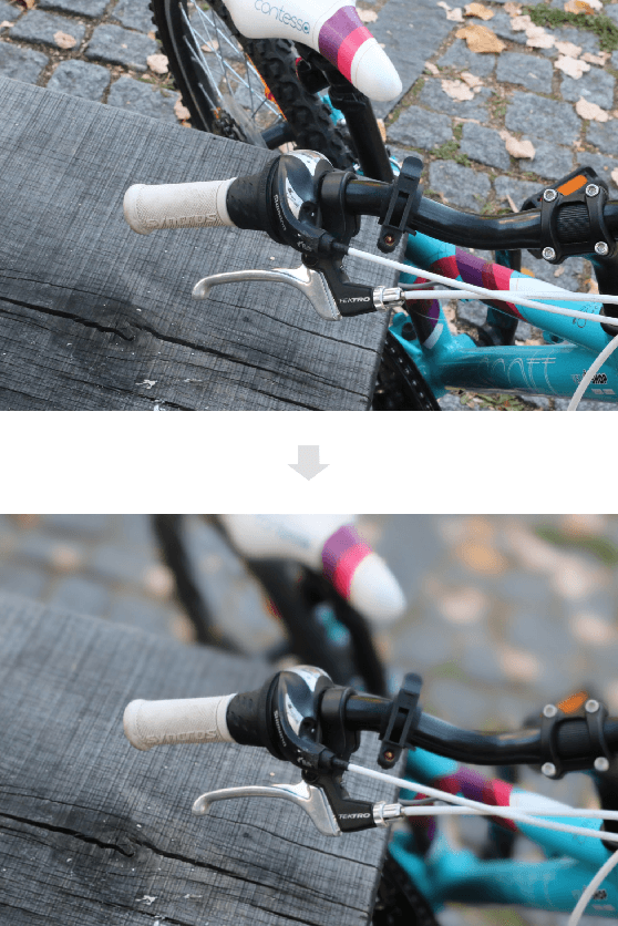 Figure 1 for Rendering Natural Camera Bokeh Effect with Deep Learning