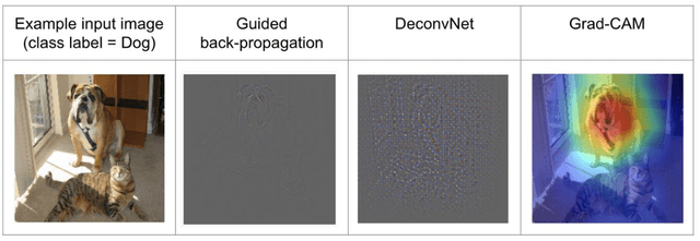 Figure 1 for Improving Disease Classification Performance and Explainability of Deep Learning Models in Radiology with Heatmap Generators