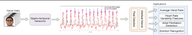 Figure 1 for Recovering remote Photoplethysmograph Signal from Facial videos Using Spatio-Temporal Convolutional Networks