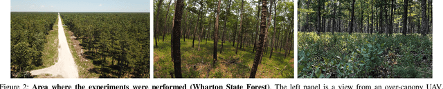 Figure 2 for Large-scale Autonomous Flight with Real-time Semantic SLAM under Dense Forest Canopy