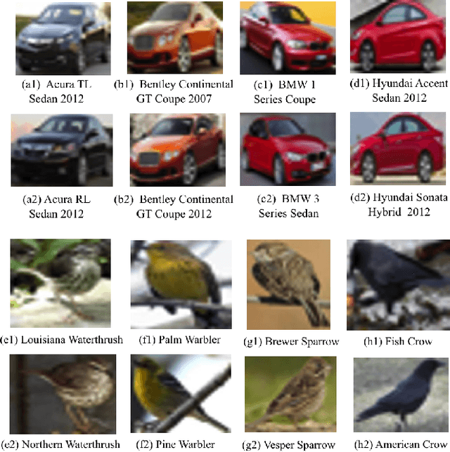 Figure 3 for Convolutional Low-Resolution Fine-Grained Classification