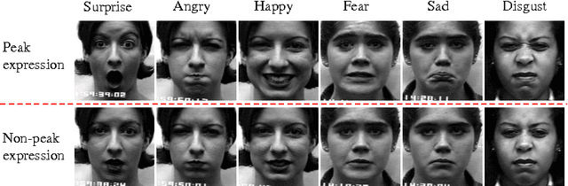Figure 1 for Peak-Piloted Deep Network for Facial Expression Recognition