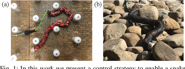 Figure 1 for Directional Compliance in Obstacle-Aided Navigation for Snake Robots