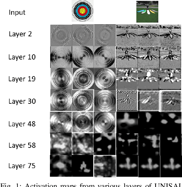 Figure 1 for Deriving Explanation of Deep Visual Saliency Models