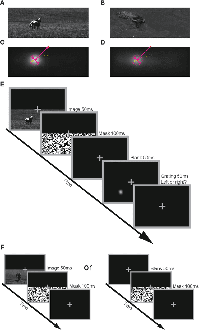 Figure 3 for A Novel Method to Study Bottom-up Visual Saliency and its Neural Mechanism