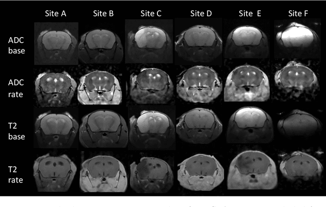 Figure 1 for Evaluating U-net Brain Extraction for Multi-site and Longitudinal Preclinical Stroke Imaging