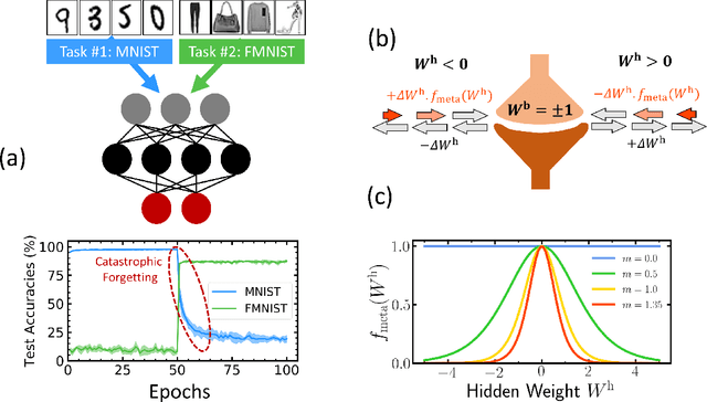 Figure 1 for Synaptic metaplasticity in binarized neural networks