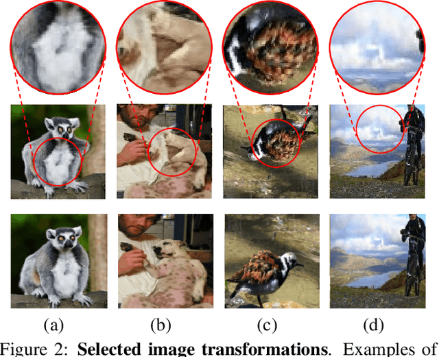 Figure 3 for Steering Self-Supervised Feature Learning Beyond Local Pixel Statistics