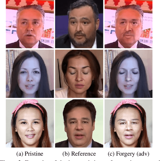 Figure 3 for Self-supervised Learning of Adversarial Example: Towards Good Generalizations for Deepfake Detection
