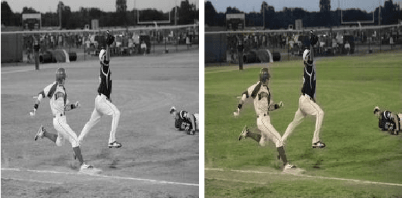 Figure 1 for Perceptual Conditional Generative Adversarial Networks for End-to-End Image Colourization