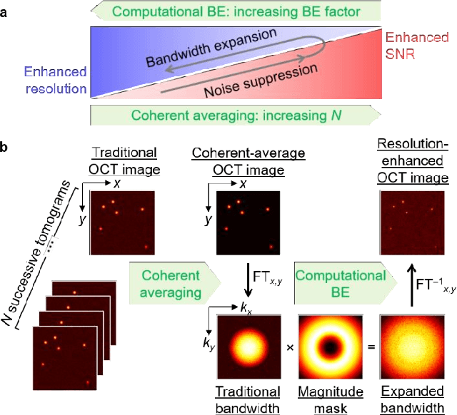 Figure 1 for Resolution-enhanced OCT and expanded framework of information capacity and resolution in coherent imaging