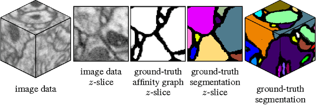 Figure 3 for Deep and Wide Multiscale Recursive Networks for Robust Image Labeling