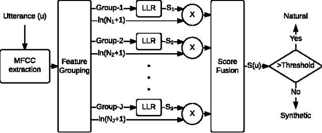 Figure 1 for Investigation of Synthetic Speech Detection Using Frame- and Segment-Specific Importance Weighting