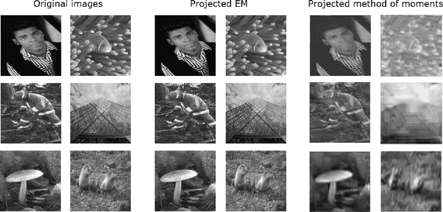 Figure 3 for Denoiser-based projections for 2-D super-resolution multi-reference alignment