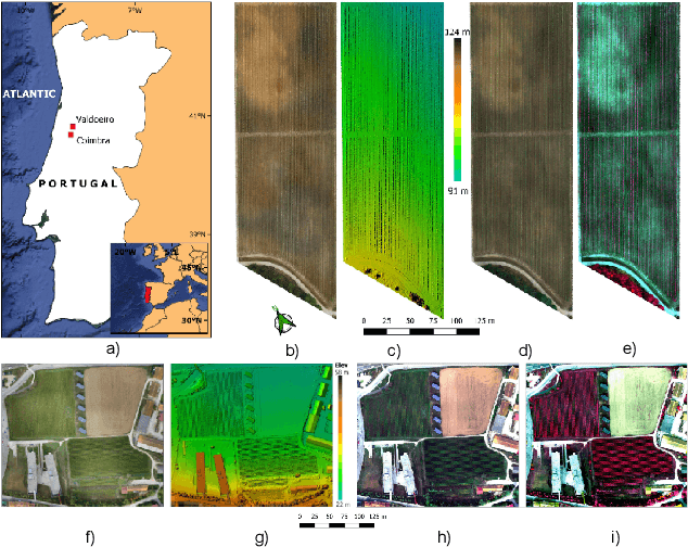 Figure 1 for Multispectral Vineyard Segmentation: A Deep Learning approach