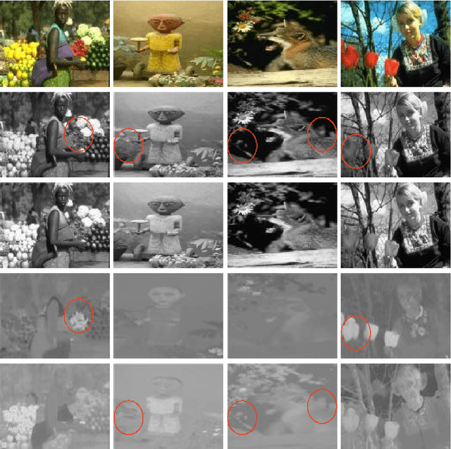 Figure 1 for Color Image Edge Detection using Multi-scale and Multi-directional Gabor filter