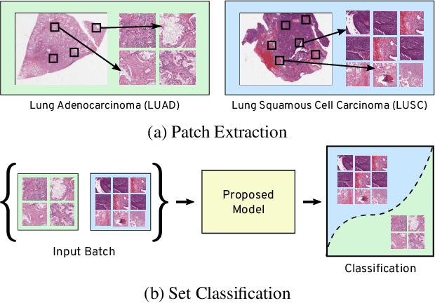 Figure 1 for Learning Permutation Invariant Representations using Memory Networks