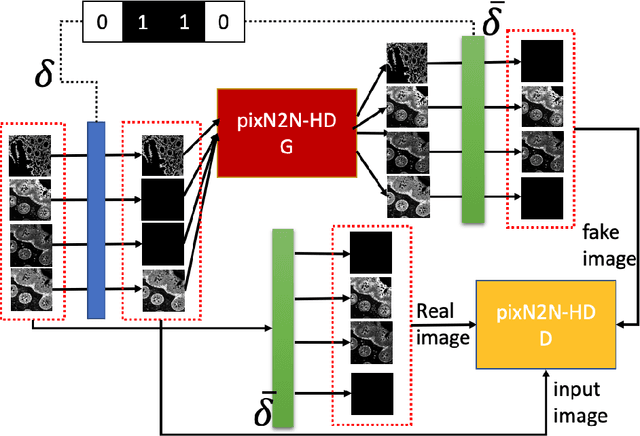 Figure 2 for Random Multi-Channel Image Synthesis for Multiplexed Immunofluorescence Imaging