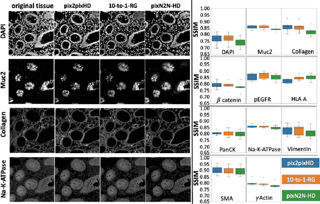 Figure 3 for Random Multi-Channel Image Synthesis for Multiplexed Immunofluorescence Imaging