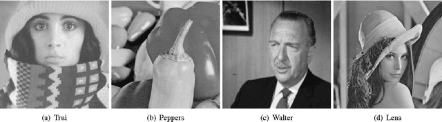 Figure 2 for A bi-level view of inpainting - based image compression