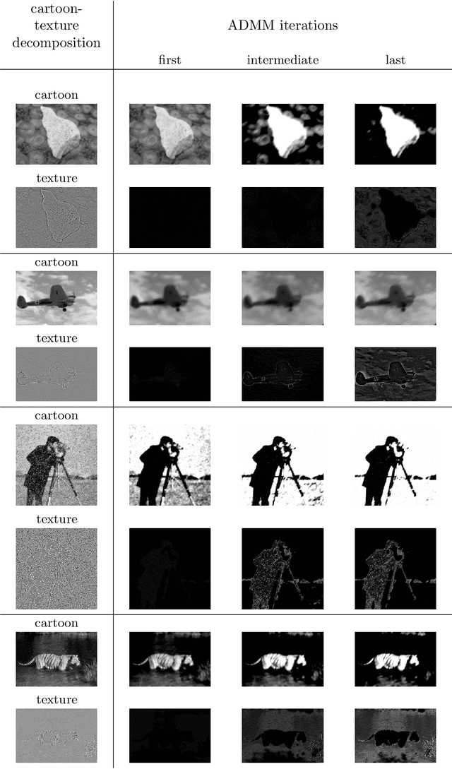 Figure 4 for Cartoon-texture evolution for two-region image segmentation
