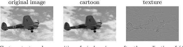 Figure 1 for Cartoon-texture evolution for two-region image segmentation