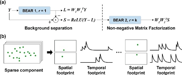 Figure 3 for Efficient Neural Network Approximation of Robust PCA for Automated Analysis of Calcium Imaging Data