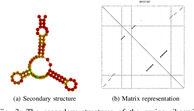 Figure 3 for Symmetry Structured Convolutional Neural Networks