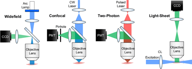 Figure 1 for Machine learning for faster and smarter fluorescence lifetime imaging microscopy