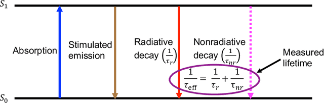 Figure 2 for Machine learning for faster and smarter fluorescence lifetime imaging microscopy