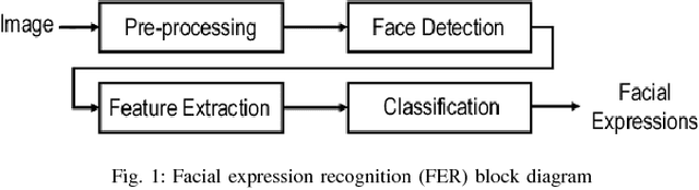 Figure 1 for Using Deep Autoencoders for Facial Expression Recognition